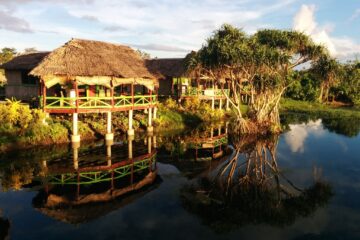 Samoa upolu y Savaii_ Mangrove