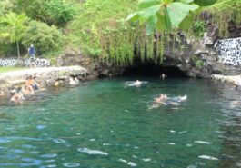 Samoa upolu y Savaii self drive_ Piula cave pool