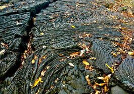 Samoa upolu y Savaii self drive_lava field