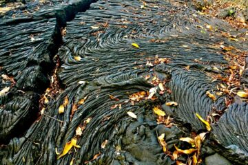 Samoa upolu y Savaii self drive_lava field